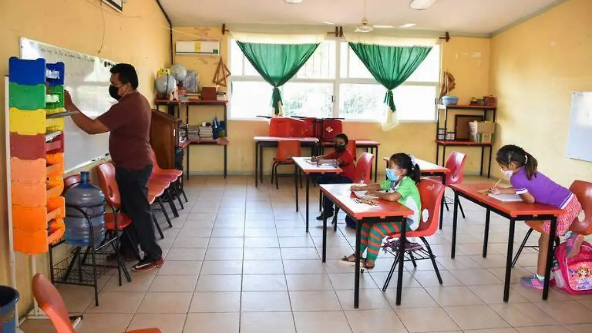 Pedira SNTE 51 que el cien de alumnos regresen a clases presenciales en enero